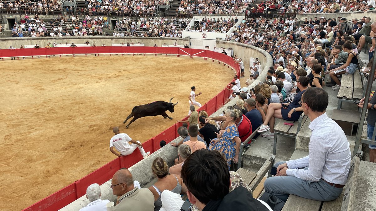 Course camarguaise Grand Prix de la Ville de Nîmes 2026 (Photo Anthony Maurin)