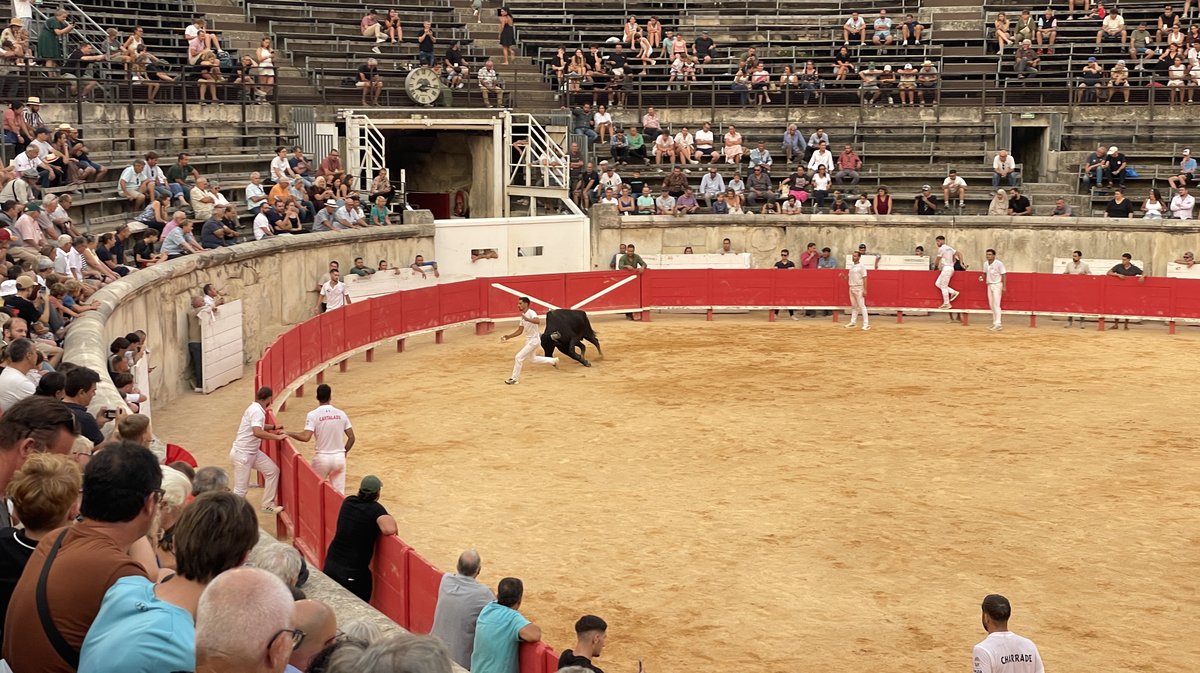 Course camarguaise Grand Prix de la Ville de Nîmes 2026 (Photo Anthony Maurin)