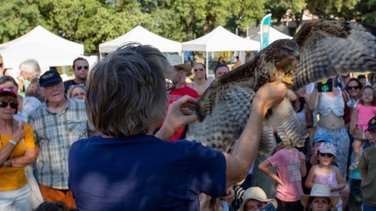 Lâcher d’animaux sauvages soignés •
