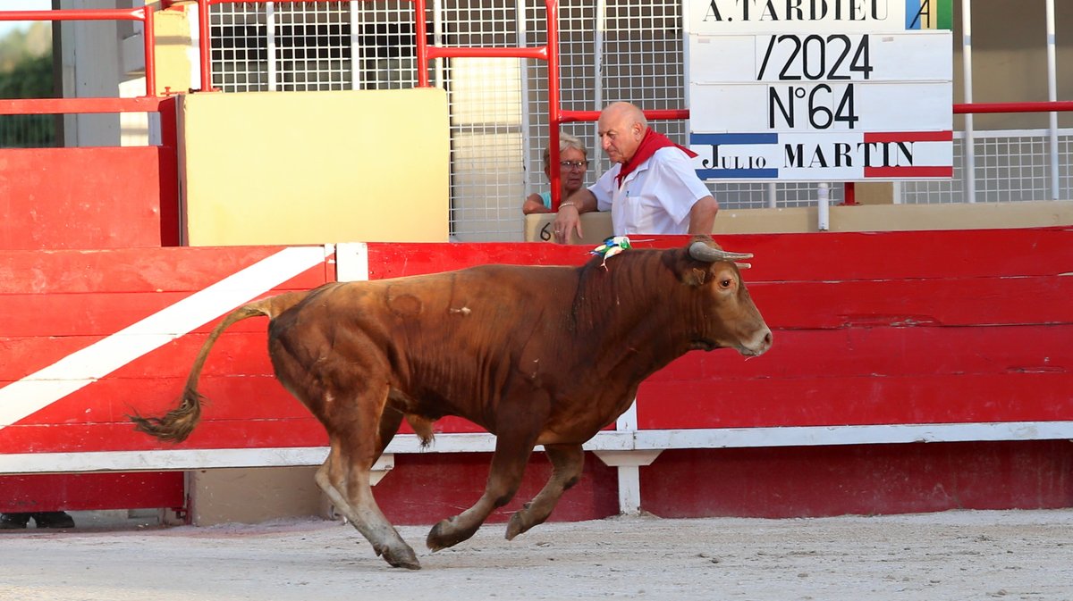 Finale du bolsin taurin de Nîmes métropole avec des erales d'Alain et Frédérique Tardieu pour Maxence Alcaïde, Julio Martin et Lisares (Photo Anthony Maurin)