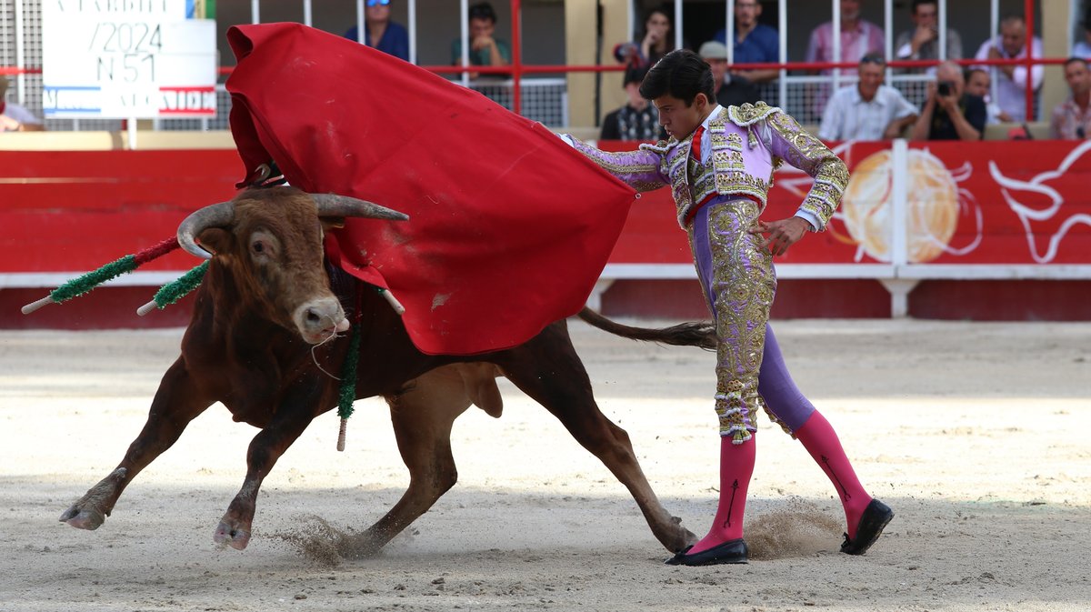 Finale du bolsin taurin de Nîmes métropole avec des erales d'Alain et Frédérique Tardieu pour Maxence Alcaïde, Julio Martin et Lisares (Photo Anthony Maurin)