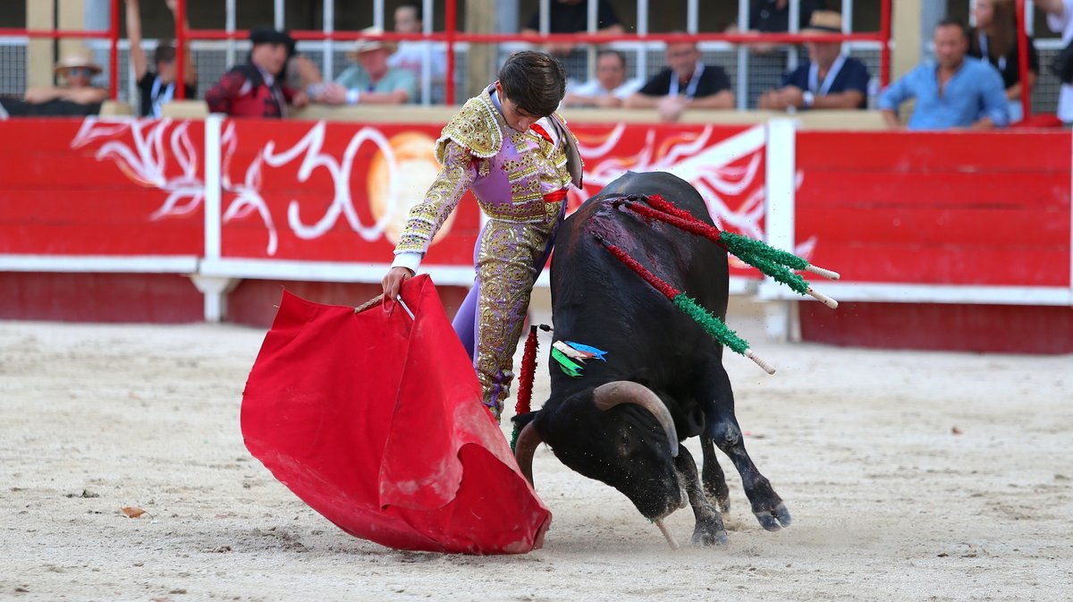 Finale du bolsin taurin de Nîmes métropole avec des erales d'Alain et Frédérique Tardieu pour Maxence Alcaïde, Julio Martin et Lisares (Photo Anthony Maurin)