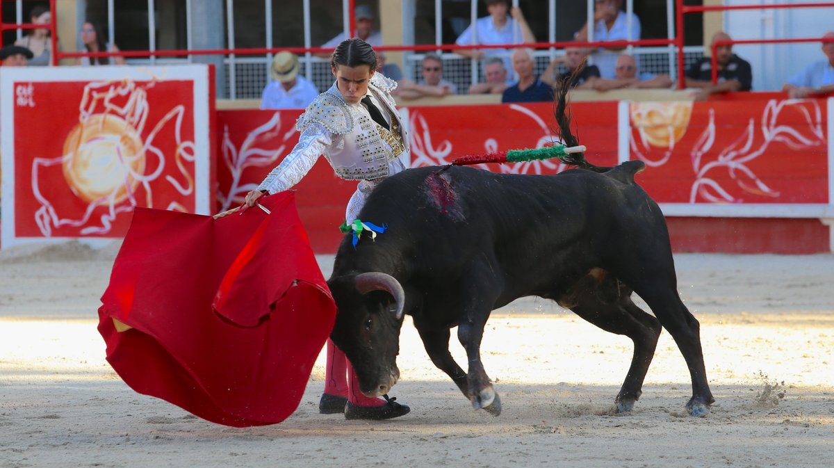 Finale du bolsin taurin de Nîmes métropole avec des erales d'Alain et Frédérique Tardieu pour Maxence Alcaïde, Julio Martin et Lisares (Photo Anthony Maurin)