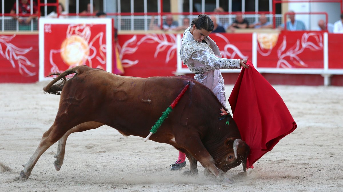 Finale du bolsin taurin de Nîmes métropole avec des erales d'Alain et Frédérique Tardieu pour Maxence Alcaïde, Julio Martin et Lisares (Photo Anthony Maurin)