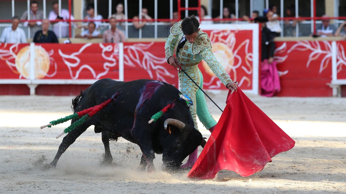 Finale du bolsin taurin de Nîmes métropole avec des erales d'Alain et Frédérique Tardieu pour Maxence Alcaïde, Julio Martin et Lisares (Photo Anthony Maurin)