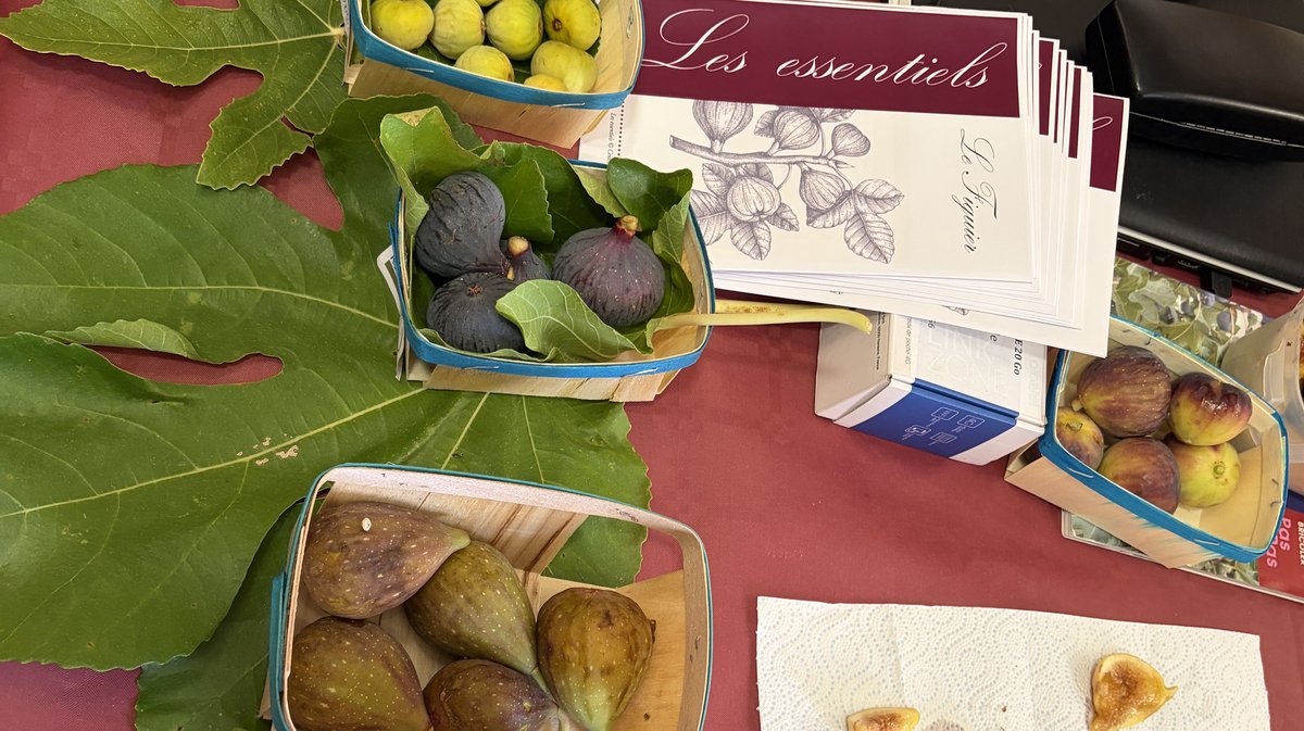 Figoulade Vézénobres 2026