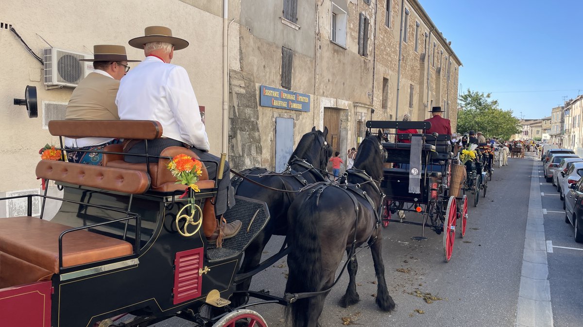 Romeria et roussataiö à Saint-Gilles 2026 (Photo Anthony Maurin)