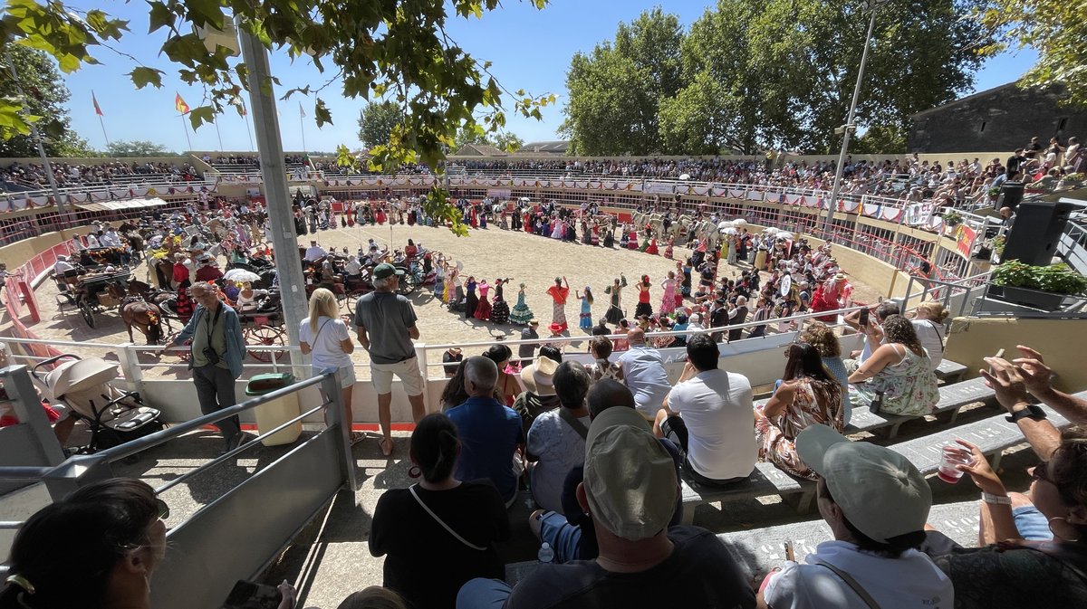 Romeria et roussataiö à Saint-Gilles 2026 (Photo Anthony Maurin)
