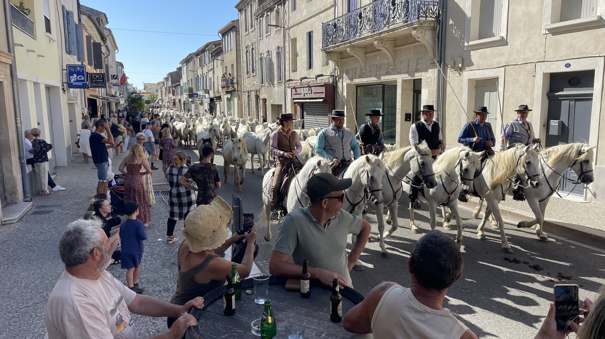 Romeria et roussataiö à Saint-Gilles 2026 (Photo Anthony Maurin)