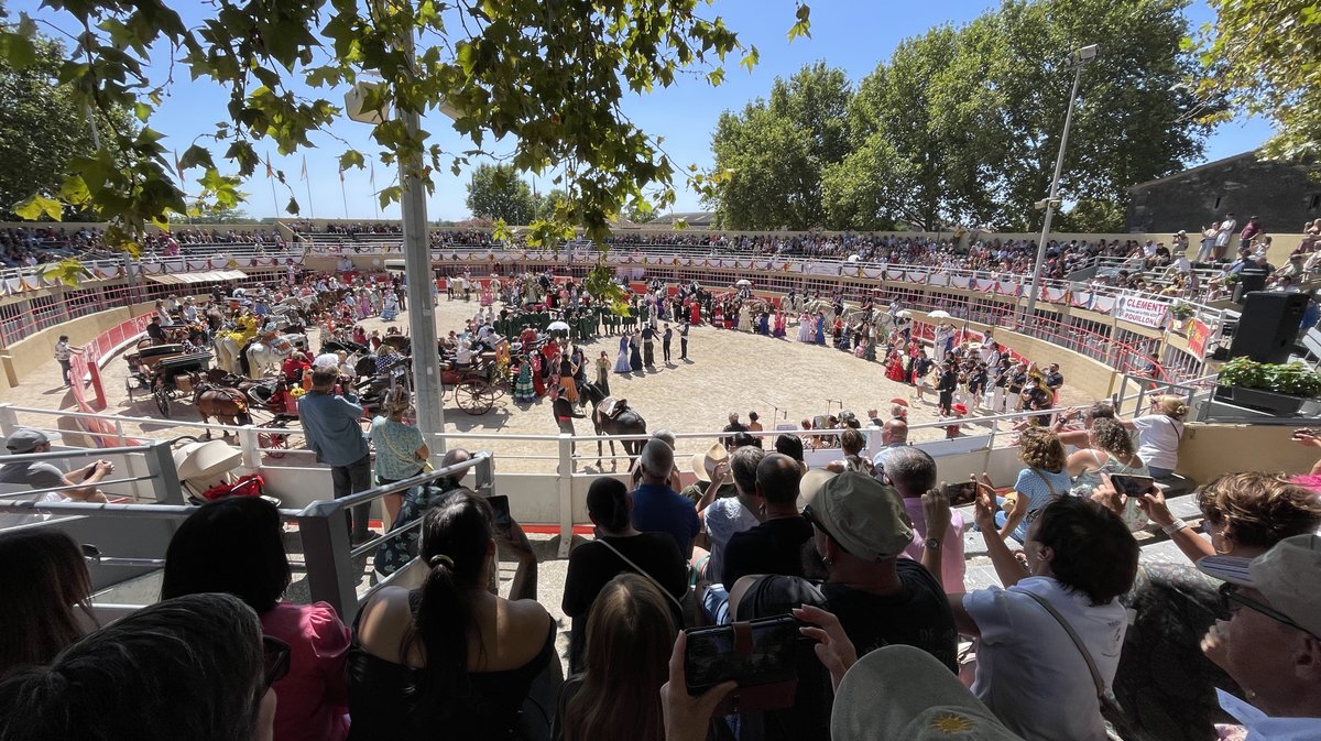 Romeria et roussataiö à Saint-Gilles 2026 (Photo Anthony Maurin)