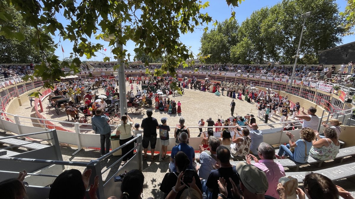 Romeria et roussataiö à Saint-Gilles 2026 (Photo Anthony Maurin)