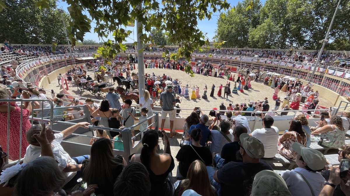 Romeria et roussataiö à Saint-Gilles 2026 (Photo Anthony Maurin)