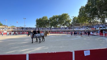 Novillada de la Chaquetilla d'Or de Barcelo et Raphaël Chaubet pour Clément Hargous, Victor et Clovis (Photo Anthony Maurin)