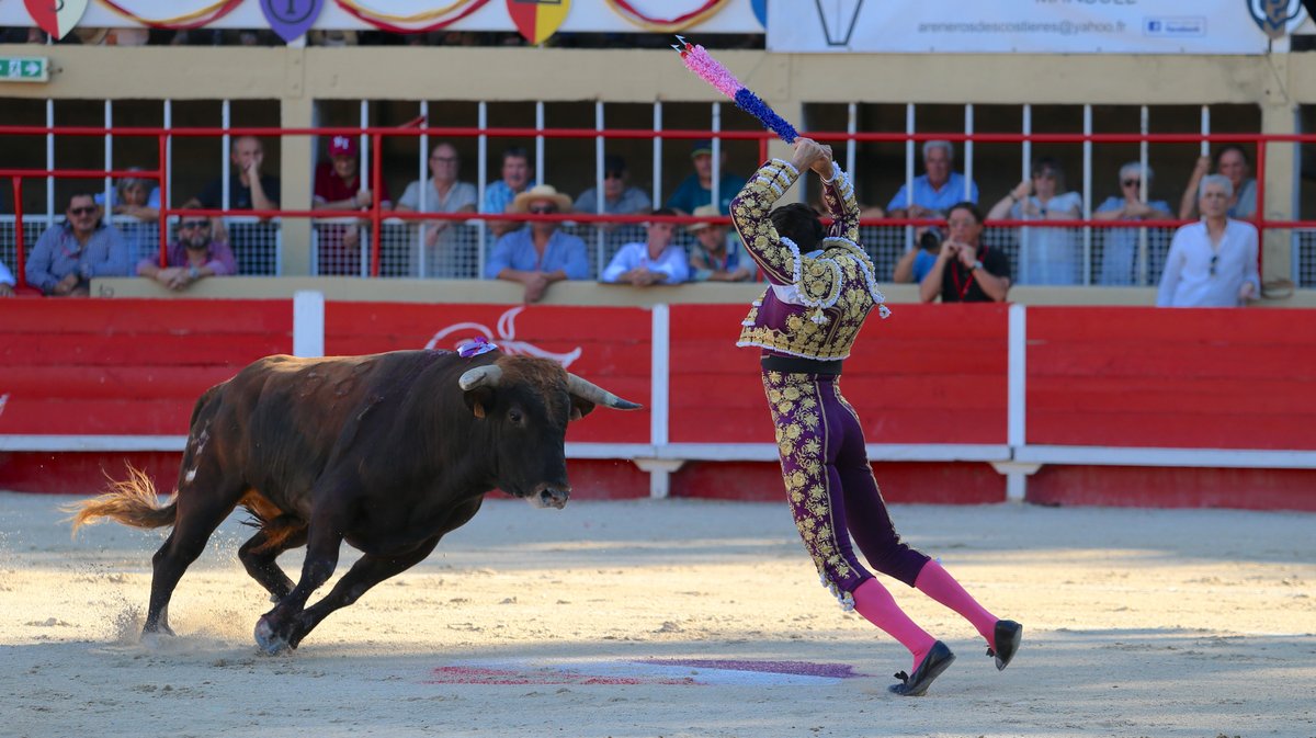 Novillada de la Chaquetilla d'Or de Barcelo et Raphaël Chaubet pour Clément Hargous, Victor et Clovis (Photo Anthony Maurin)