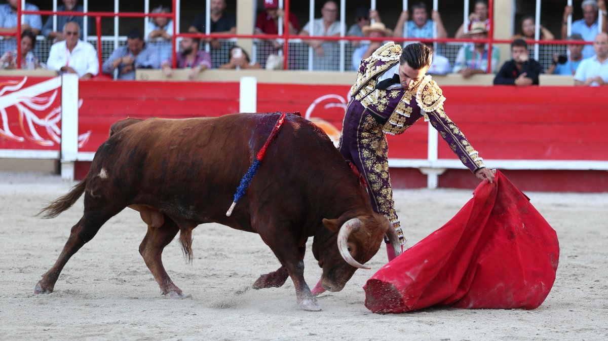Novillada de la Chaquetilla d'Or de Barcelo et Raphaël Chaubet pour Clément Hargous, Victor et Clovis (Photo Anthony Maurin)