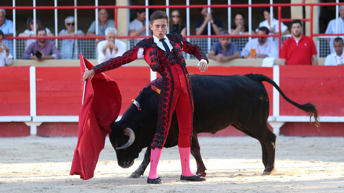 Novillada de la Chaquetilla d'Or de Barcelo et Raphaël Chaubet pour Clément Hargous, Victor et Clovis (Photo Anthony Maurin)