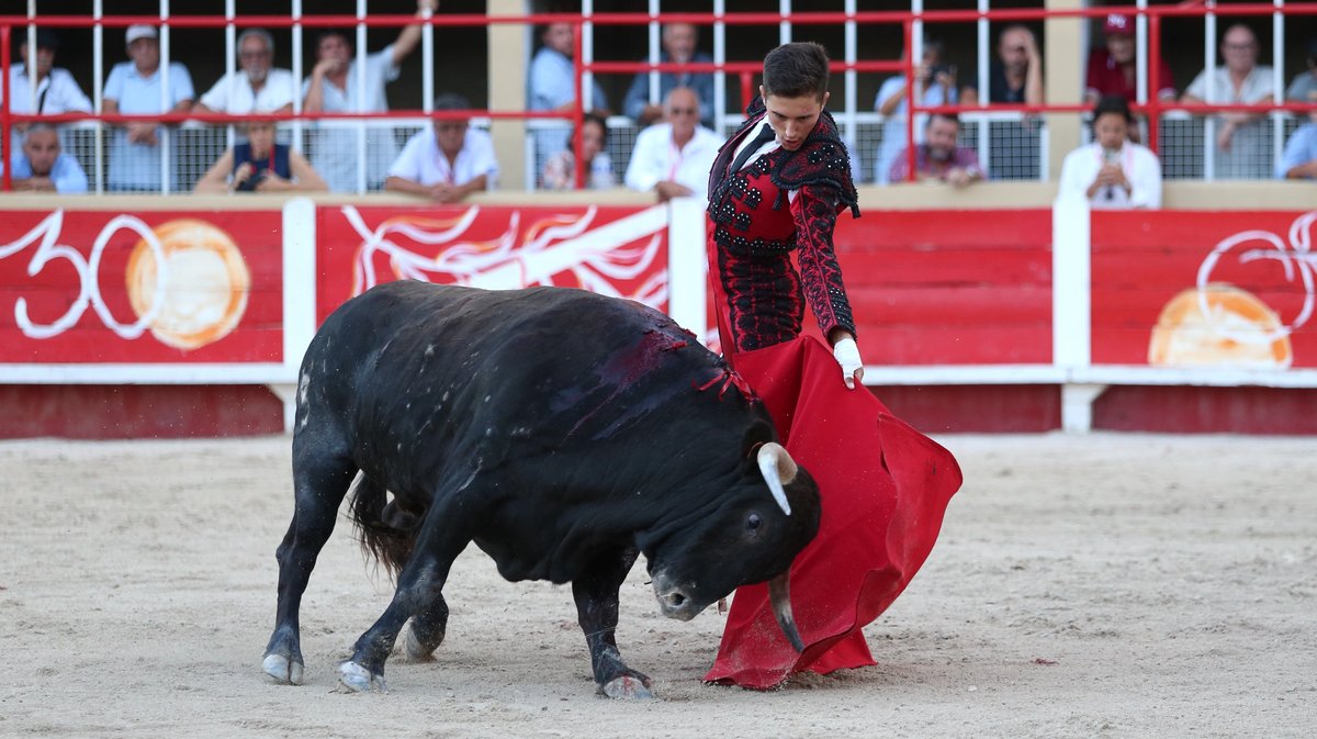 Novillada de la Chaquetilla d'Or de Barcelo et Raphaël Chaubet pour Clément Hargous, Victor et Clovis (Photo Anthony Maurin)