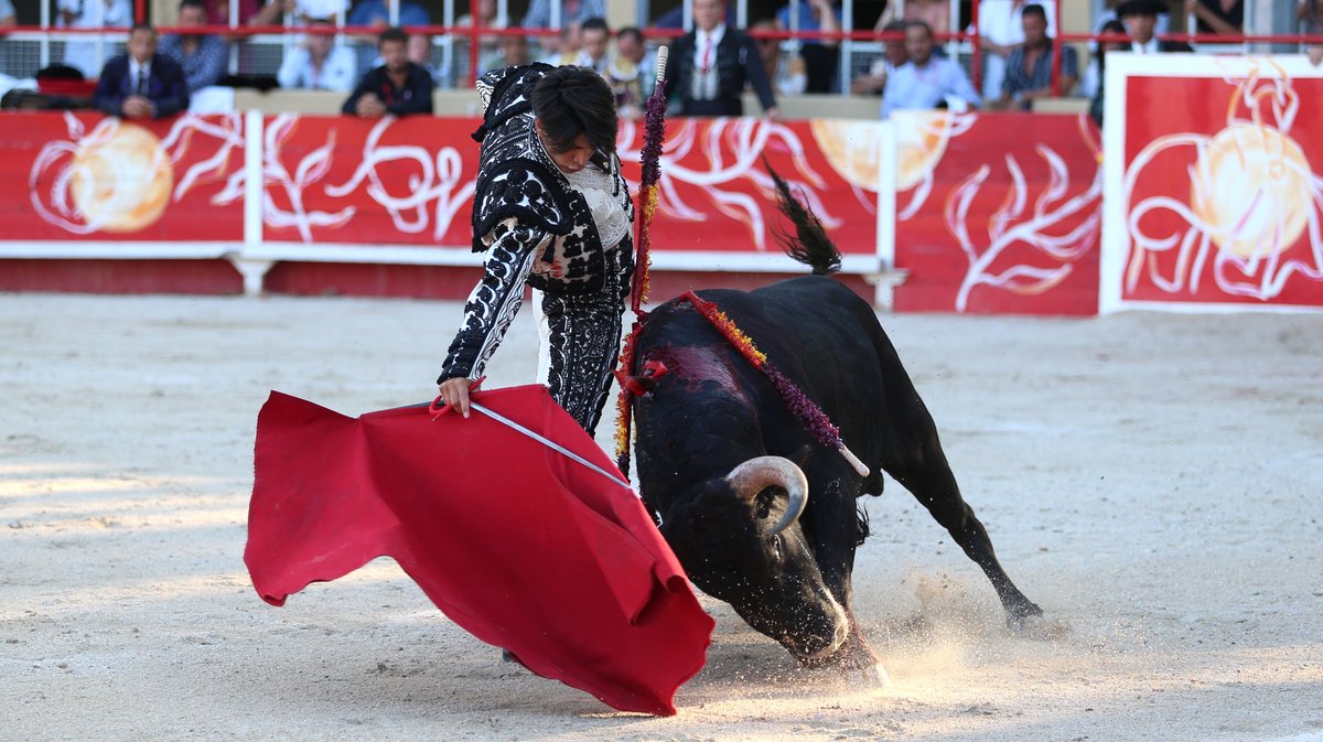Novillada de la Chaquetilla d'Or de Barcelo et Raphaël Chaubet pour Clément Hargous, Victor et Clovis (Photo Anthony Maurin)