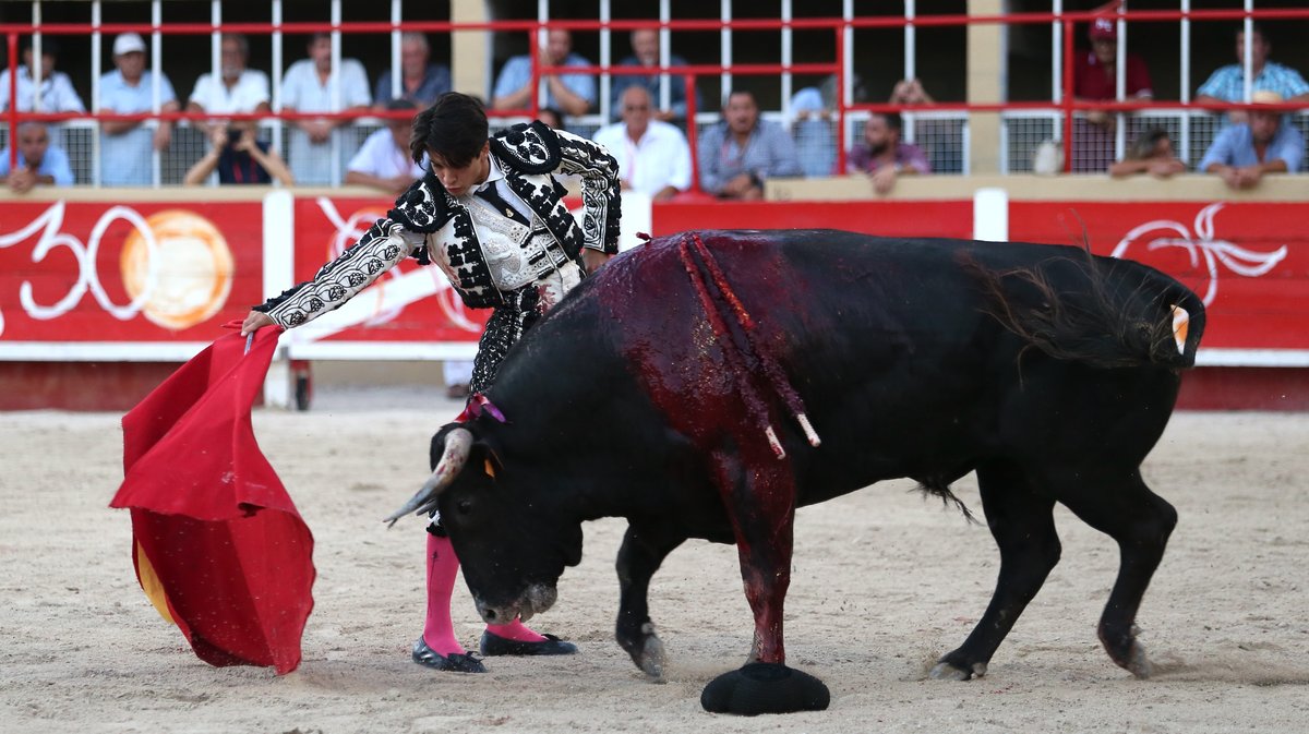 Novillada de la Chaquetilla d'Or de Barcelo et Raphaël Chaubet pour Clément Hargous, Victor et Clovis (Photo Anthony Maurin)