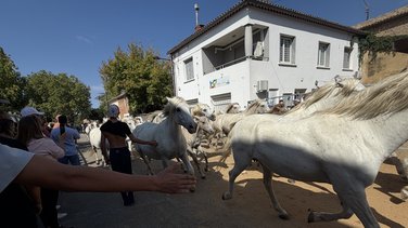 fête votive de Laudun-l'Ardoise