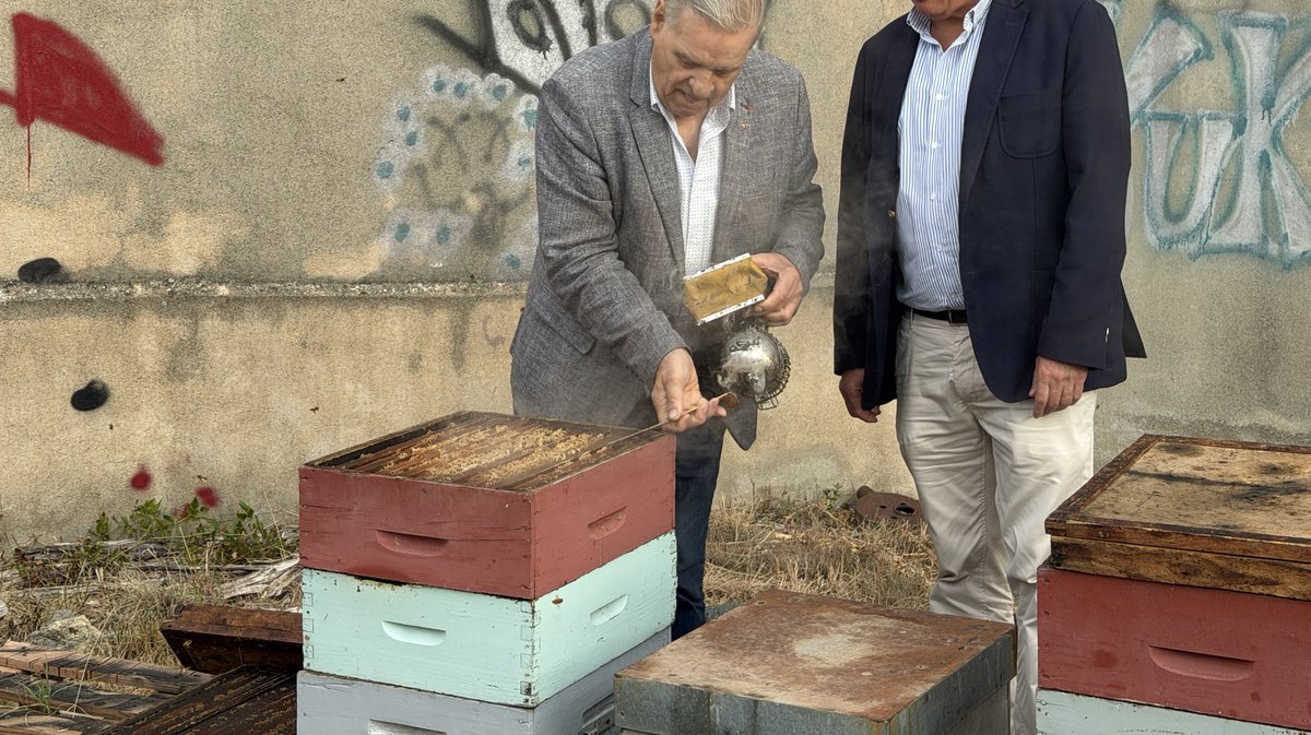 Miel Abeille Alès