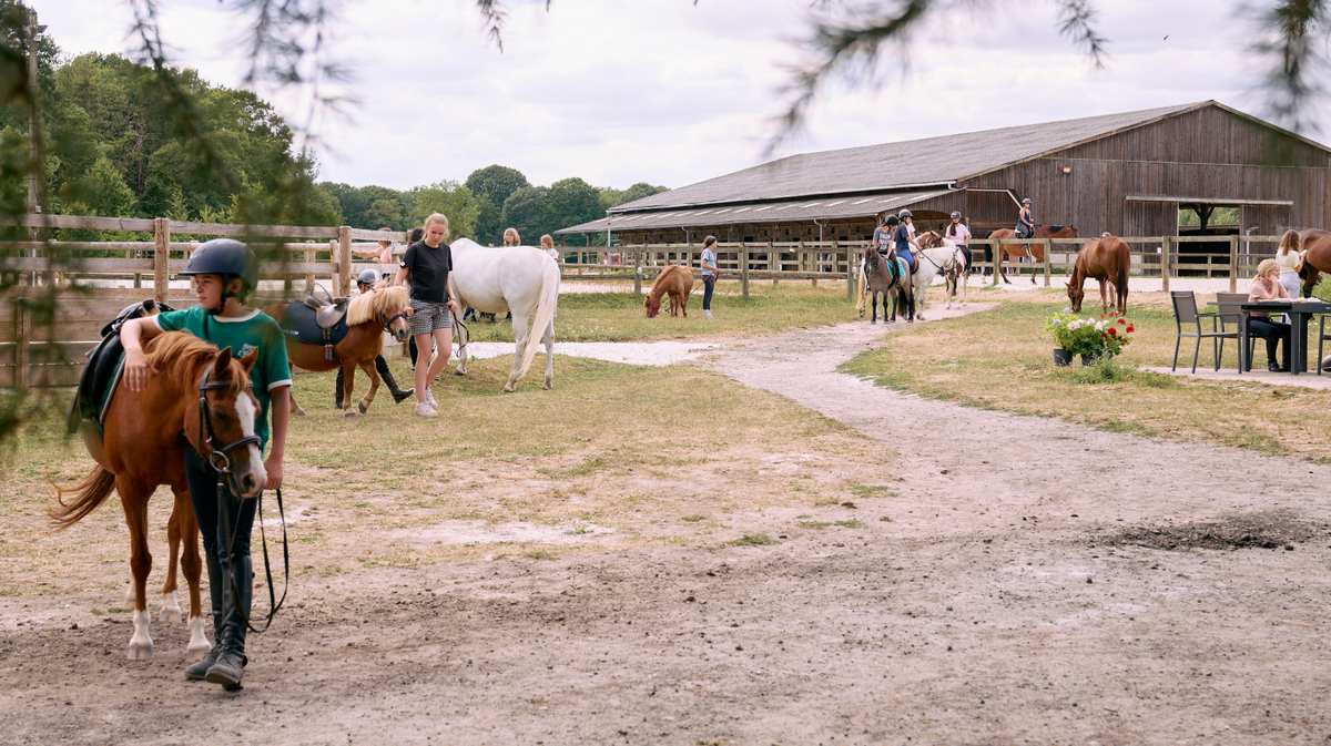 Journées du Cheval