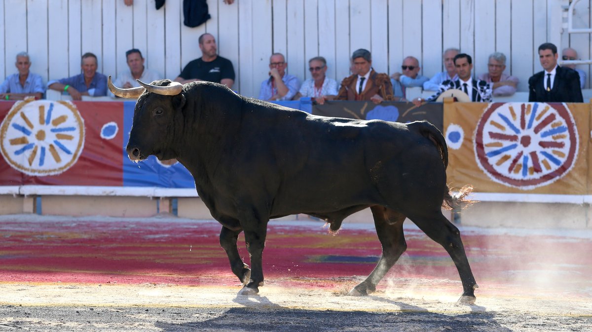 Corrida goyesque de Jandilla pour Juan Ortega, Andrés Roca Rey et Marco Pérez (Photo Anthony Maurin)
