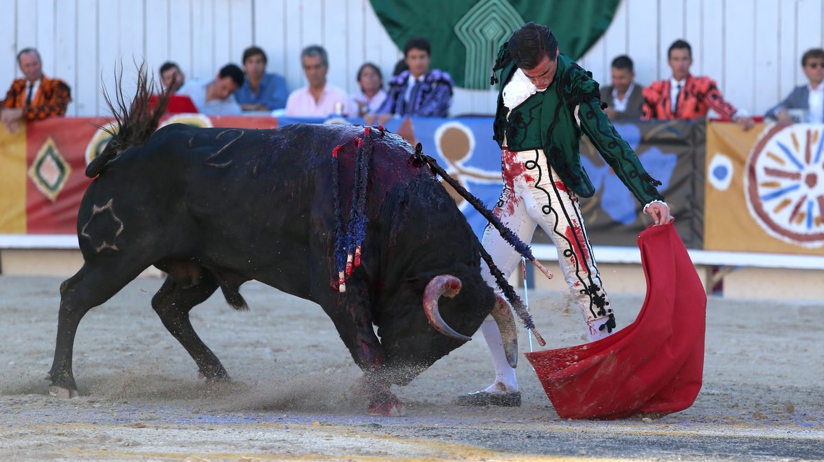 Corrida goyesque de Jandilla pour Juan Ortega, Andrés Roca Rey et Marco Pérez (Photo Anthony Maurin)