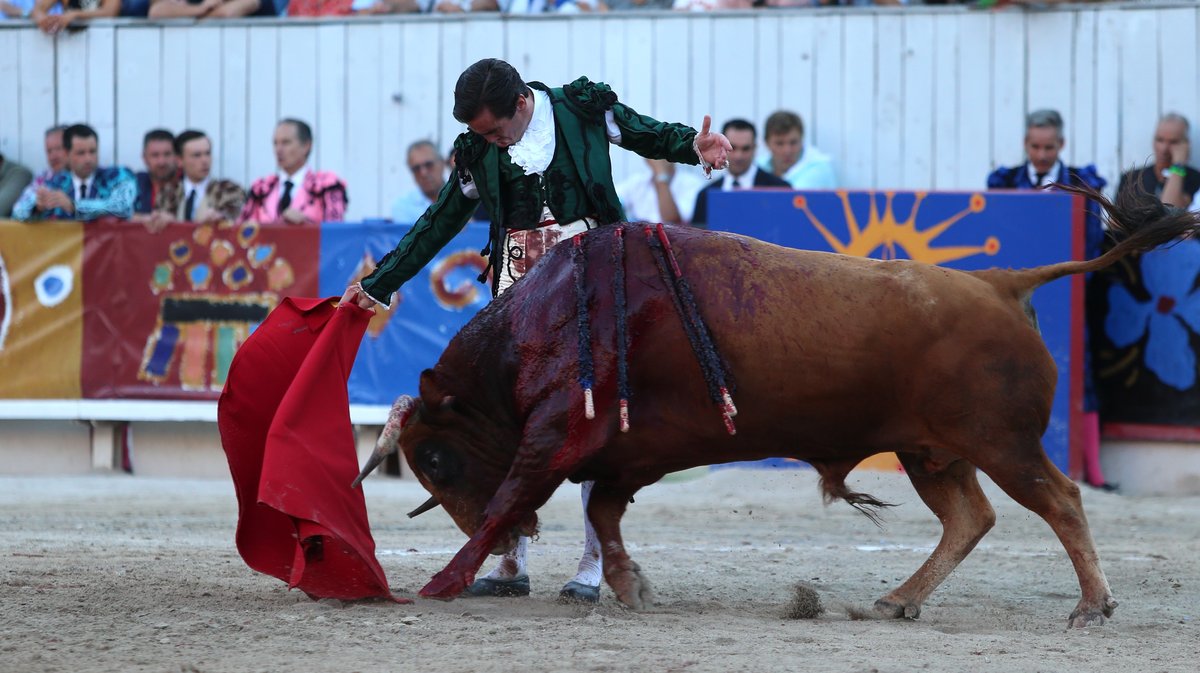 Corrida goyesque de Jandilla pour Juan Ortega, Andrés Roca Rey et Marco Pérez (Photo Anthony Maurin)