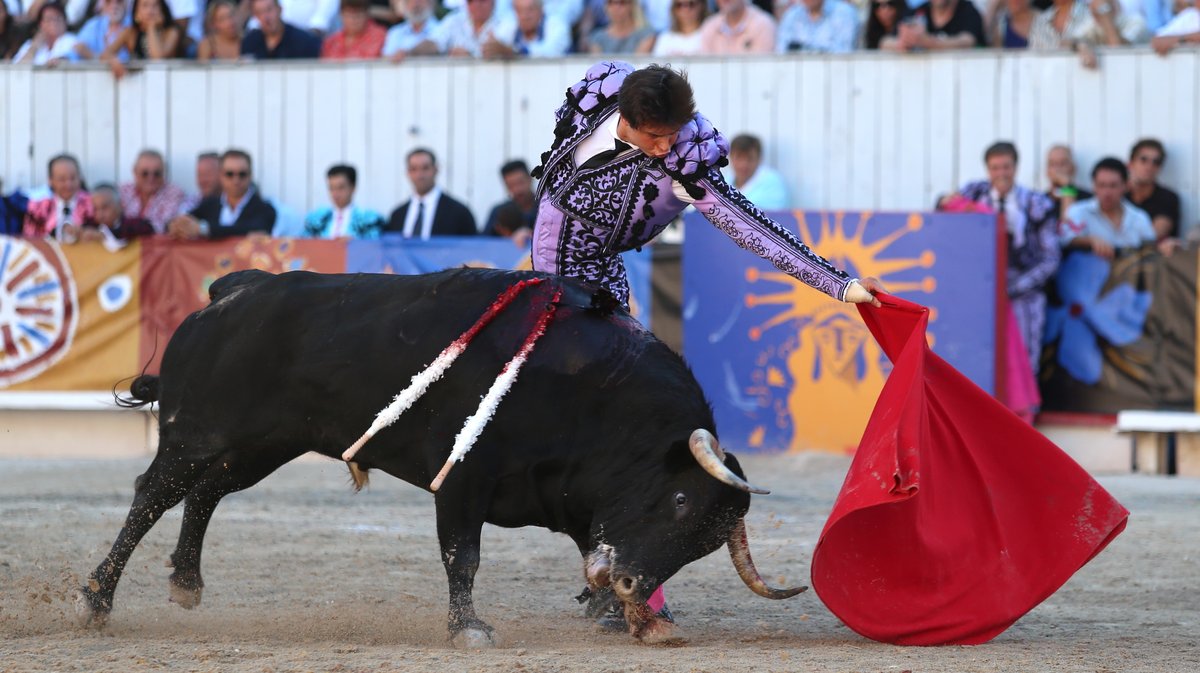 Corrida goyesque de Jandilla pour Juan Ortega, Andrés Roca Rey et Marco Pérez (Photo Anthony Maurin)