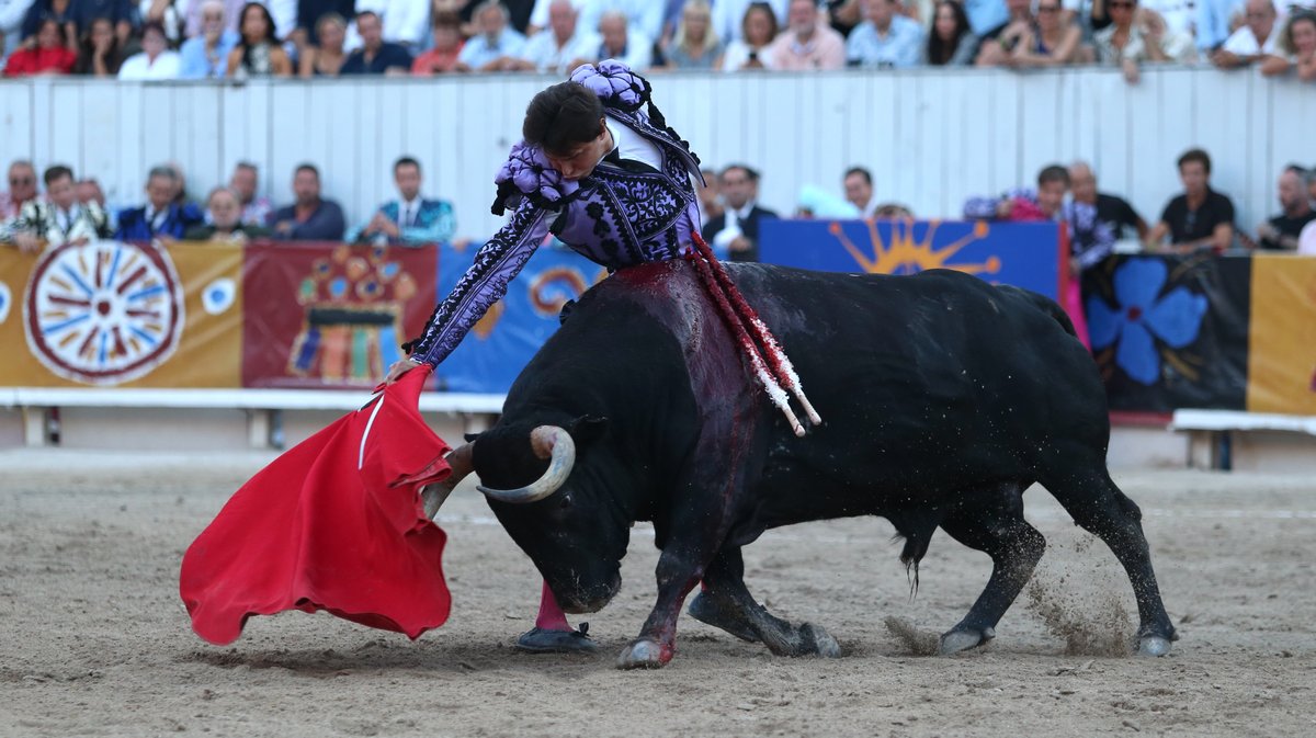 Corrida goyesque de Jandilla pour Juan Ortega, Andrés Roca Rey et Marco Pérez (Photo Anthony Maurin)