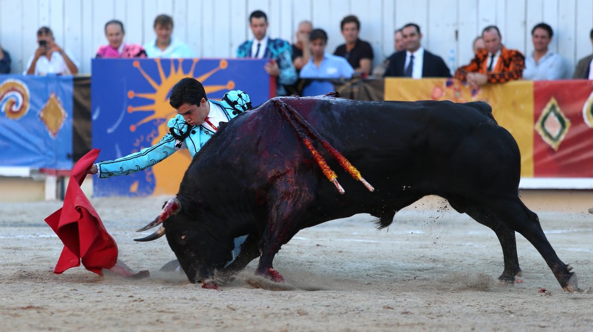 Corrida goyesque de Jandilla pour Juan Ortega, Andrés Roca Rey et Marco Pérez (Photo Anthony Maurin)