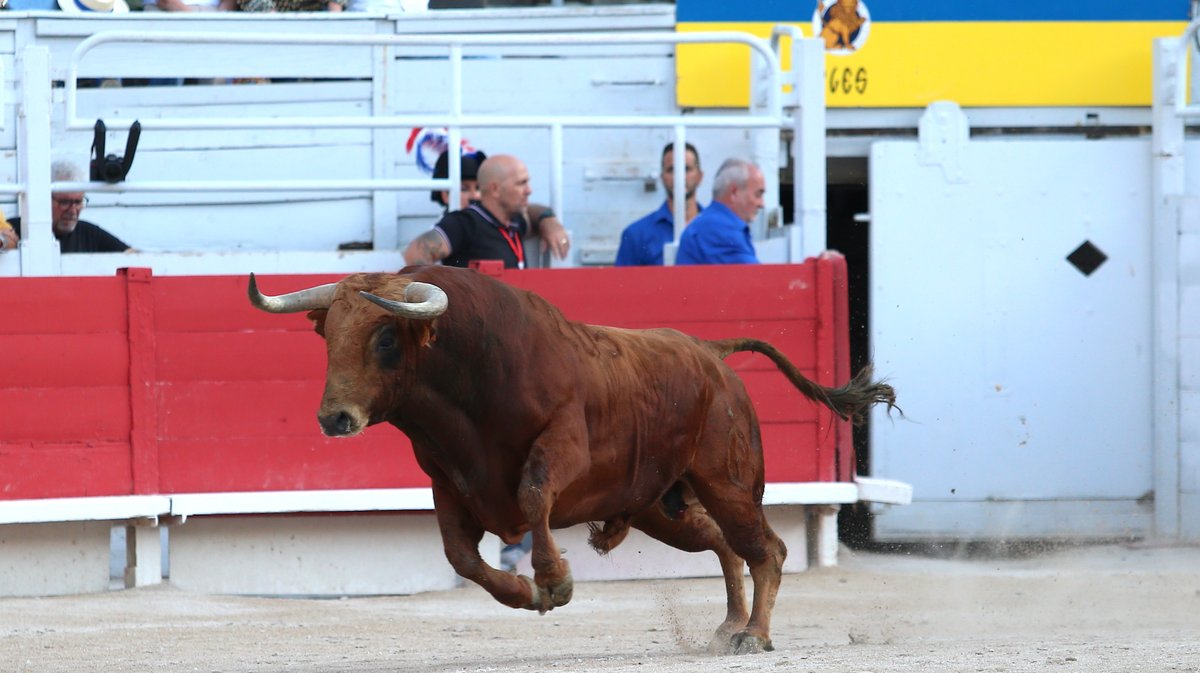Corrida de Pagès-Mailhan pour Juan Leal, José Garrido et Diego San roman (Photo Anthony Maurin)