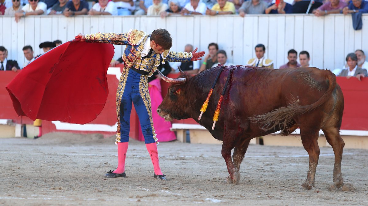 Corrida de Pagès-Mailhan pour Juan Leal, José Garrido et Diego San roman (Photo Anthony Maurin)