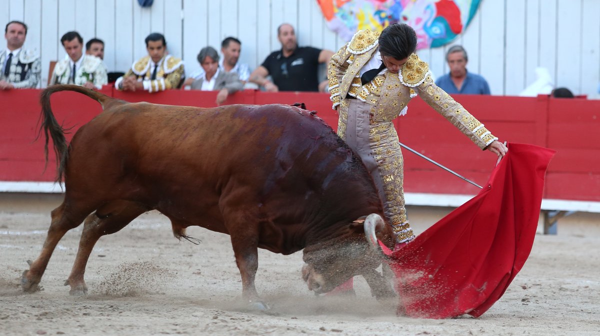 Corrida de Pagès-Mailhan pour Juan Leal, José Garrido et Diego San roman (Photo Anthony Maurin)