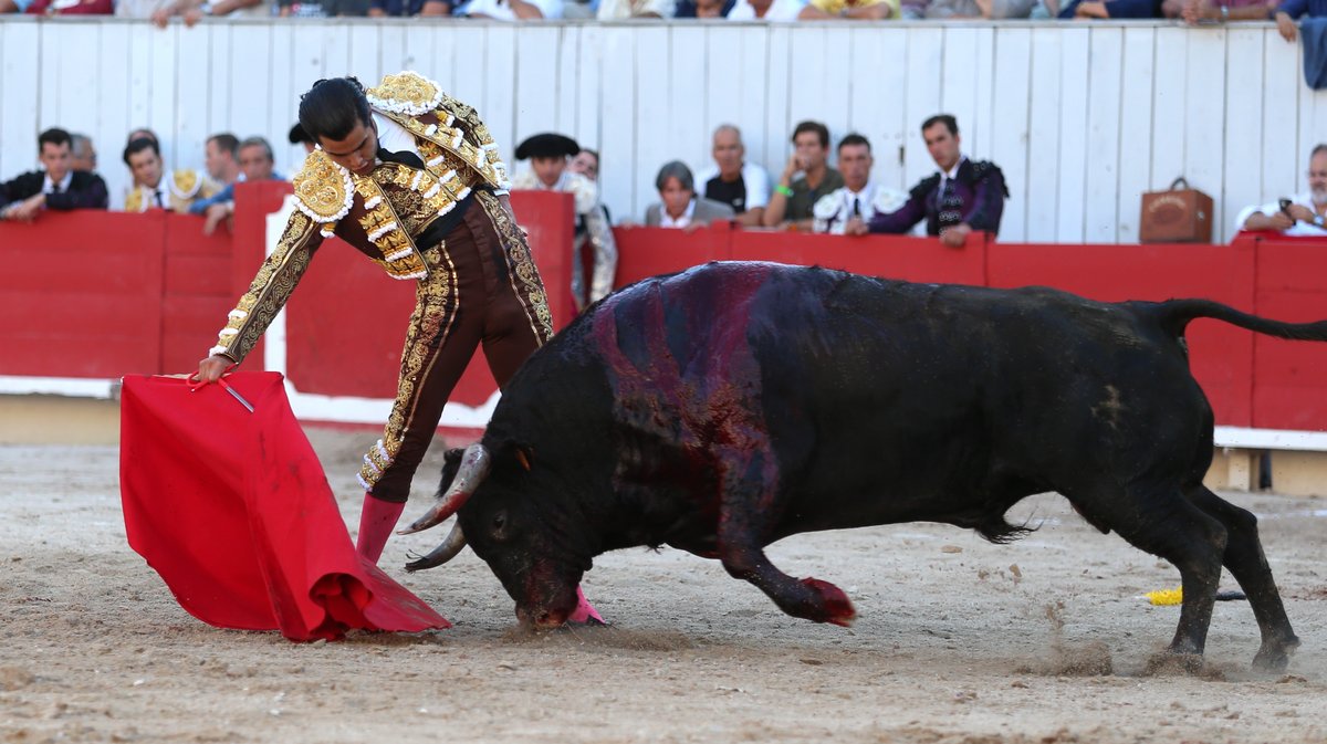 Corrida de Pagès-Mailhan pour Juan Leal, José Garrido et Diego San Roman (Photo Anthony Maurin)