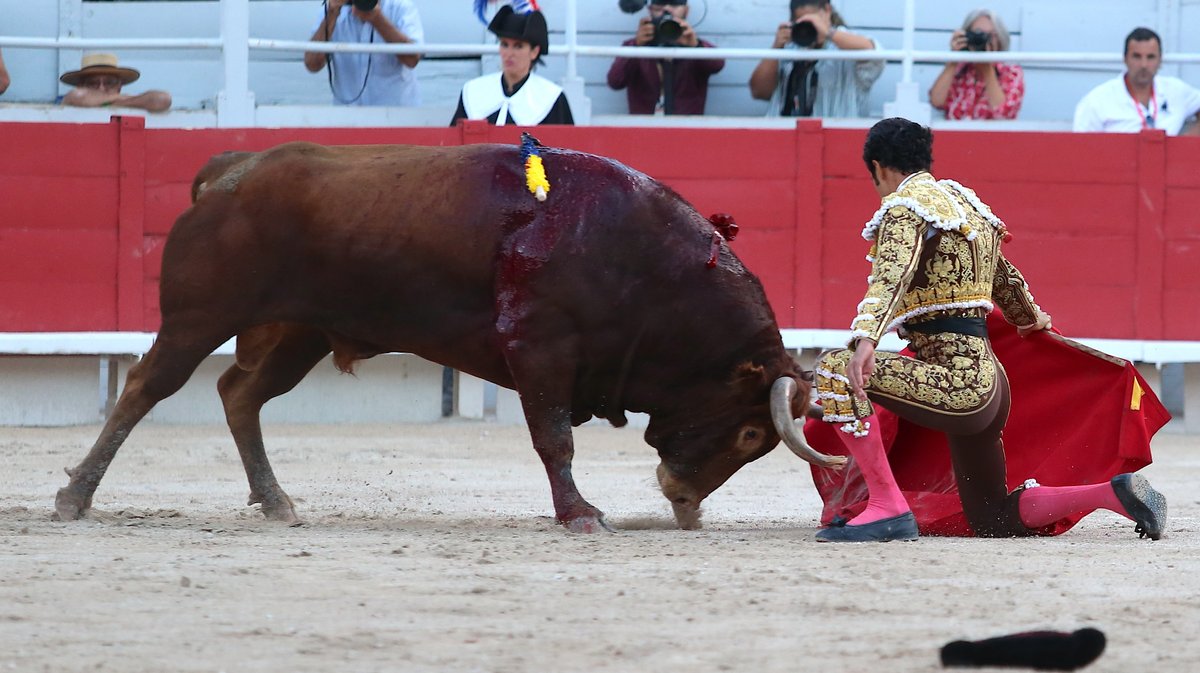 Corrida de Pagès-Mailhan pour Juan Leal, José Garrido et Diego San Roman (Photo Anthony Maurin)