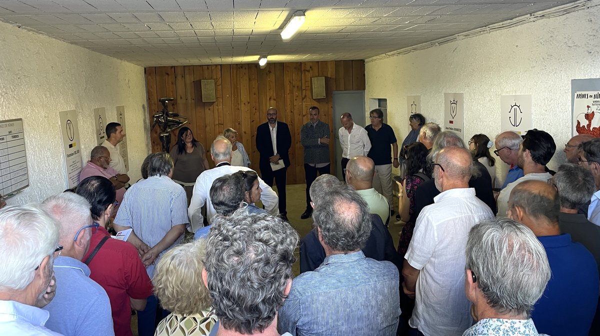 Présentation des toros de la feria des Vendanges 2026 (Photo Anthony Maurin)