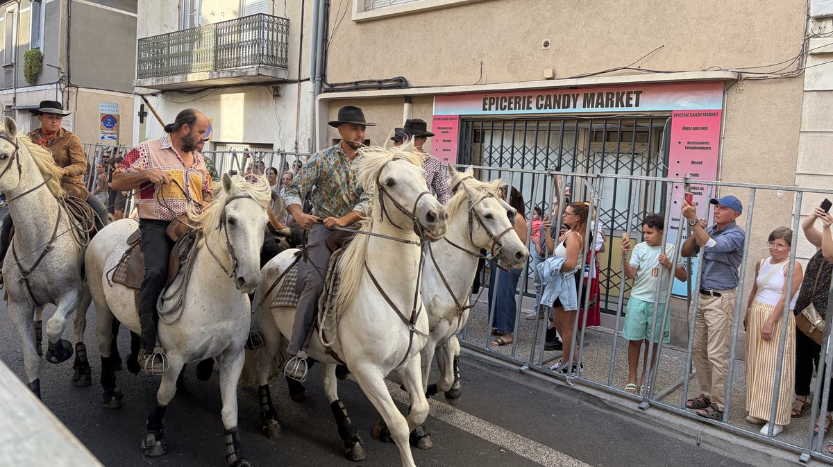 Feria des Vendanges 2026