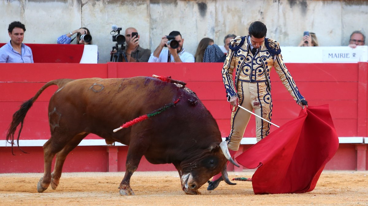 Corrida Carmen de Jandilla, Victoriano del Rio  et Cortès pour un mano a mano entre Alejandro Talavante  et Andrés Roca Rey (Photo Anthony Maurin)