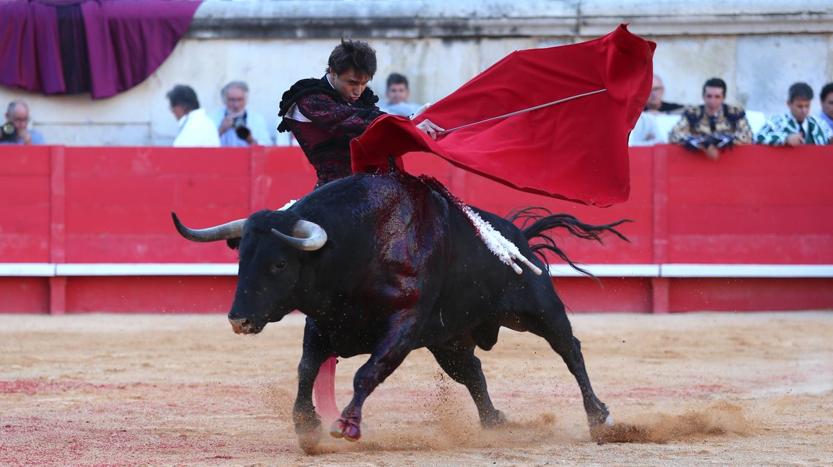 Corrida Carmen de Jandilla, Victoriano del Rio  et Cortès pour un mano a mano entre Alejandro Talavante  et Andrés Roca Rey (Photo Anthony Maurin)