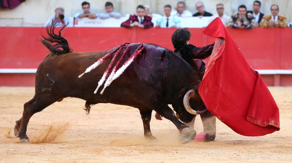 Corrida Carmen de Jandilla, Victoriano del Rio  et Cortès pour un mano a mano entre Alejandro Talavante  et Andrés Roca Rey (Photo Anthony Maurin)