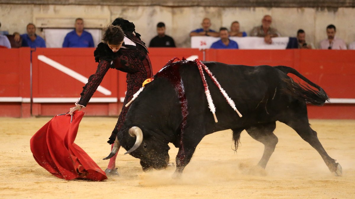 Corrida Carmen de Jandilla, Victoriano del Rio  et Cortès pour un mano a mano entre Alejandro Talavante  et Andrés Roca Rey (Photo Anthony Maurin)