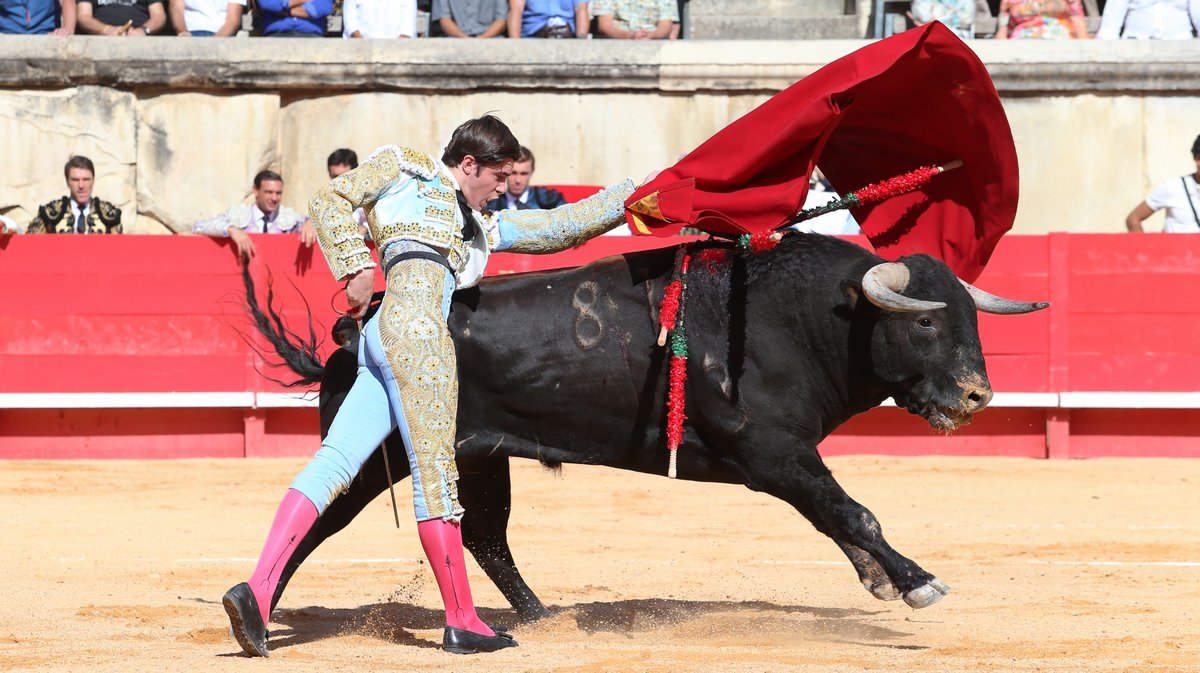 Novillada des Hermanos Sandoval pour Mario Vilau, Victor et Manuel Quintana (Photo Anthony Maurin)