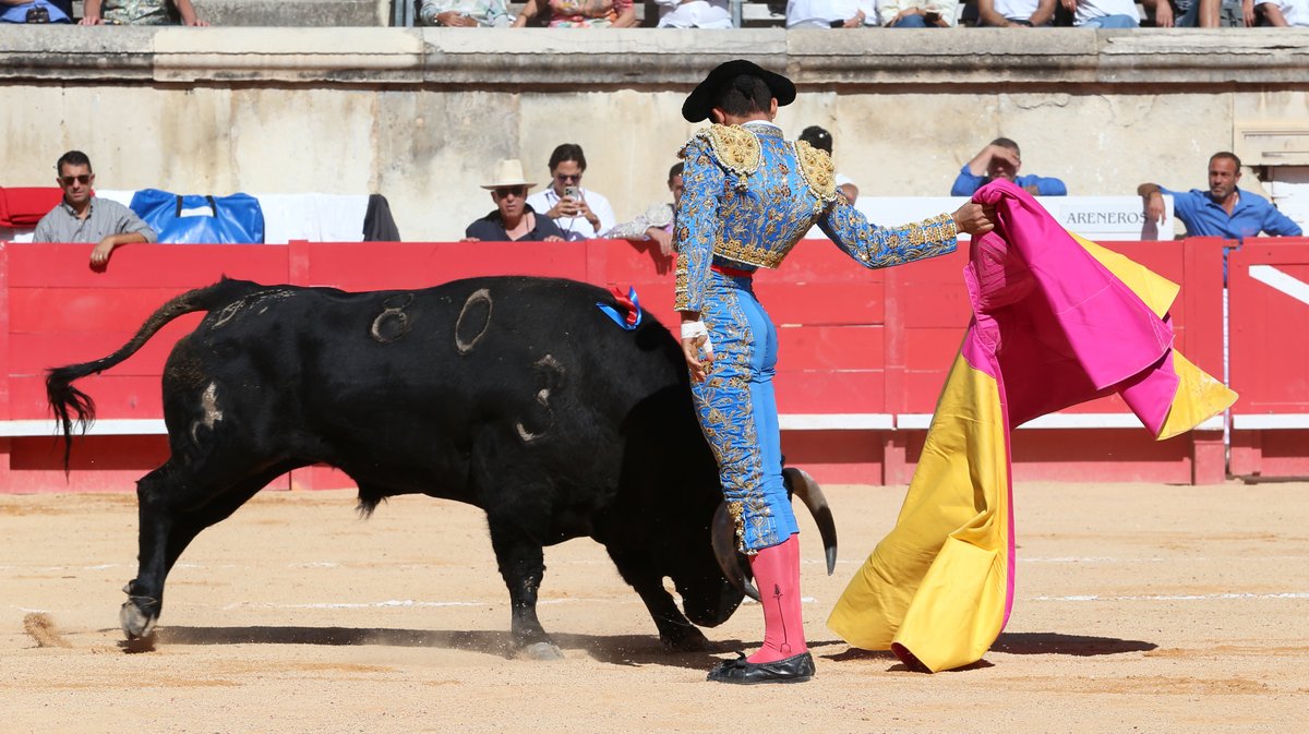 Novillada des Hermanos Sandoval pour Mario Vilau, Victor et Manuel Quintana (Photo Anthony Maurin)