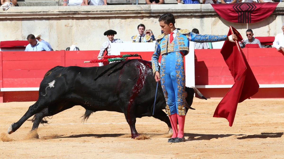 Novillada des Hermanos Sandoval pour Mario Vilau, Victor et Manuel Quintana (Photo Anthony Maurin)