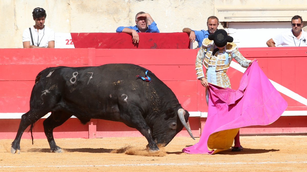 Novillada des Hermanos Sandoval pour Mario Vilau, Victor et Manuel Quintana (Photo Anthony Maurin)