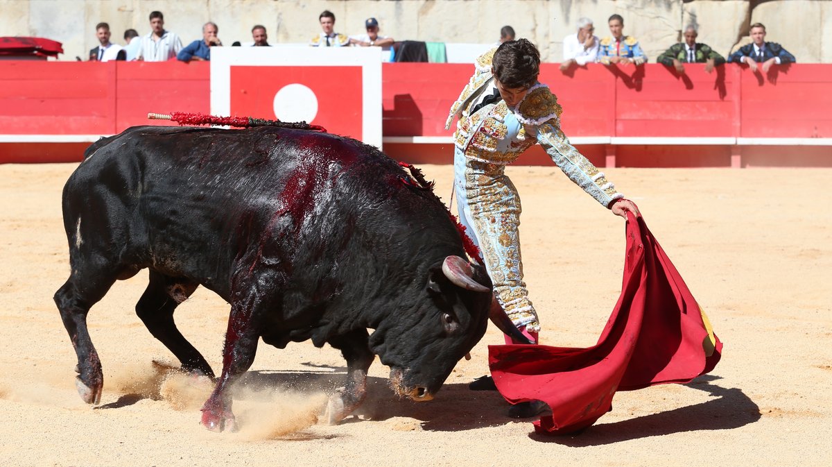 Novillada des Hermanos Sandoval pour Mario Vilau, Victor et Manuel Quintana (Photo Anthony Maurin)