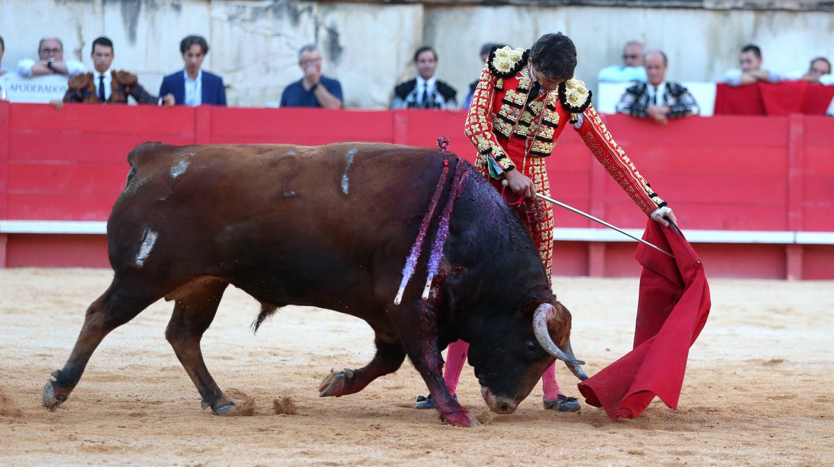 Corrida de Garcia Jimenez pour Sébastien Castella, José Maria Manzanares fils et Tomas Rufo (Photo Anthony Maurin)