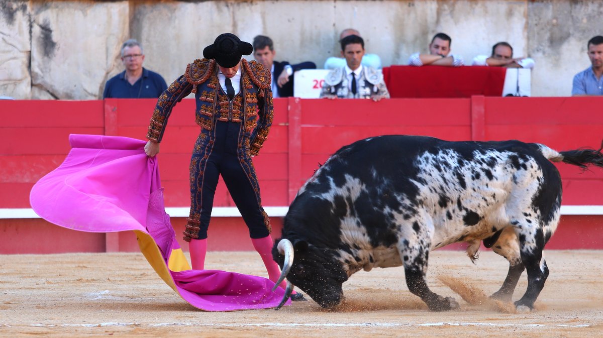 Corrida de Garcia Jimenez pour Sébastien Castella, José Maria Manzanares fils et Tomas Rufo (Photo Anthony Maurin)